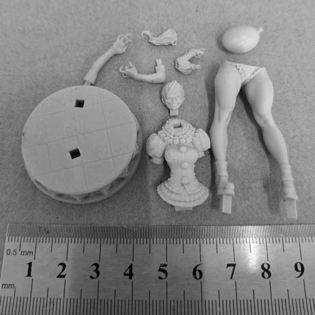 Resin Model Figure, 1/24 Scale - Model Kit Lucario 评论和价格