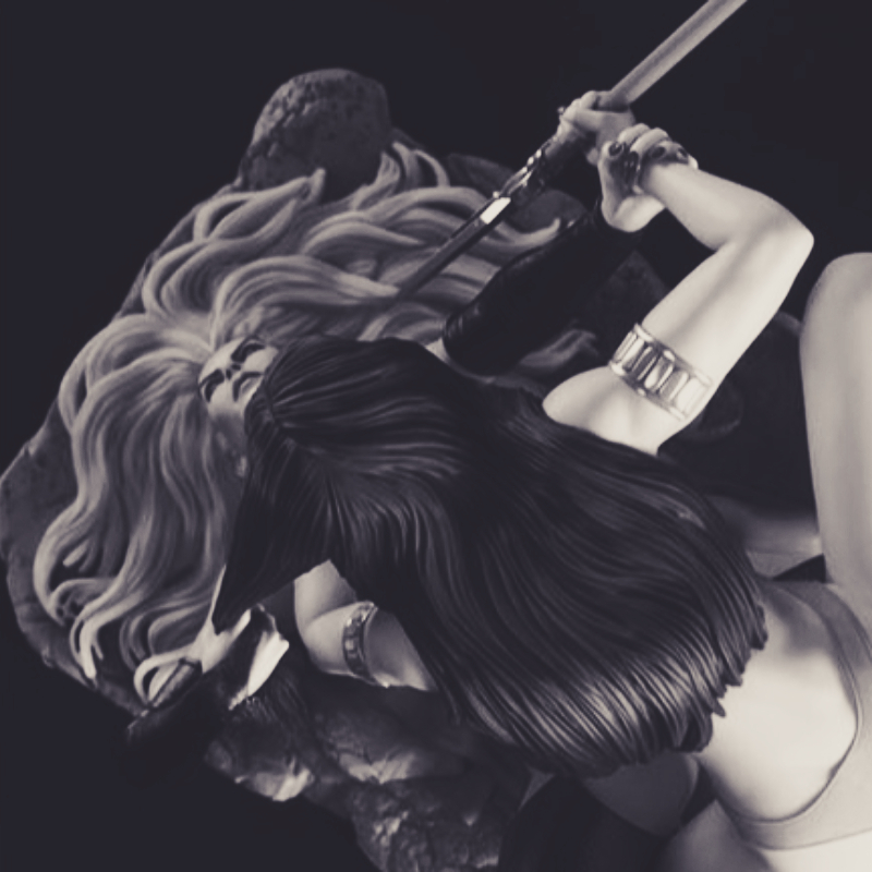 1/24 Scale Vampirella Vs Lady  - Model Kit Waifu 评论和价格