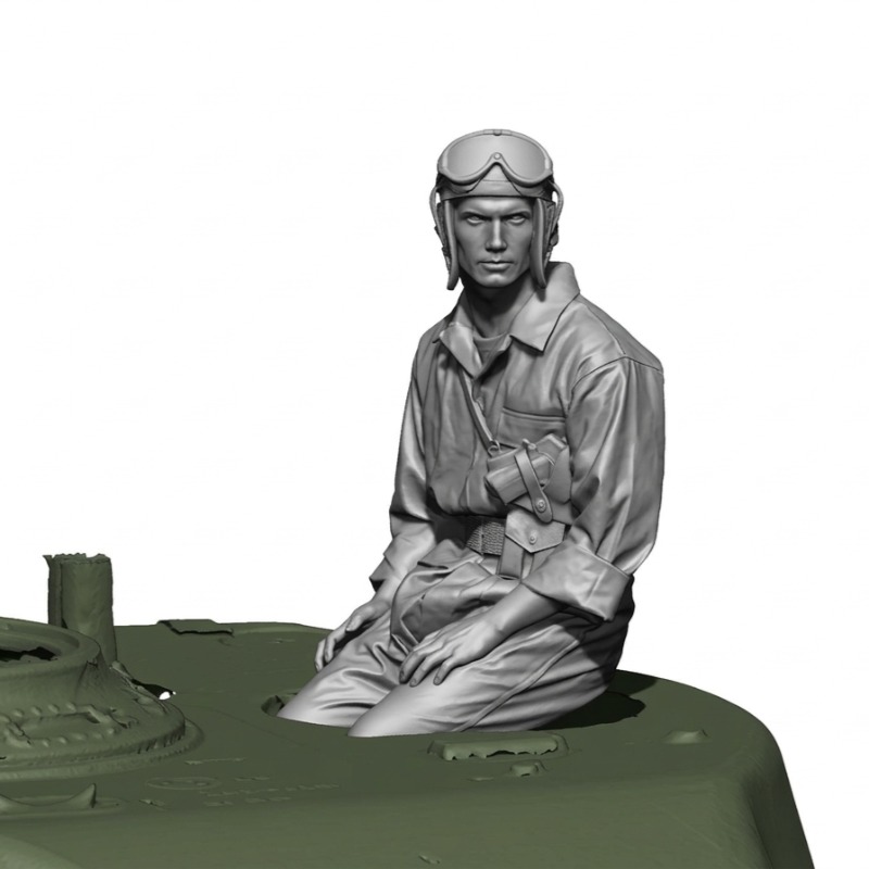 1/16 Scale Die Cast Resin Figu - Model Kit Ww2 评论和价格